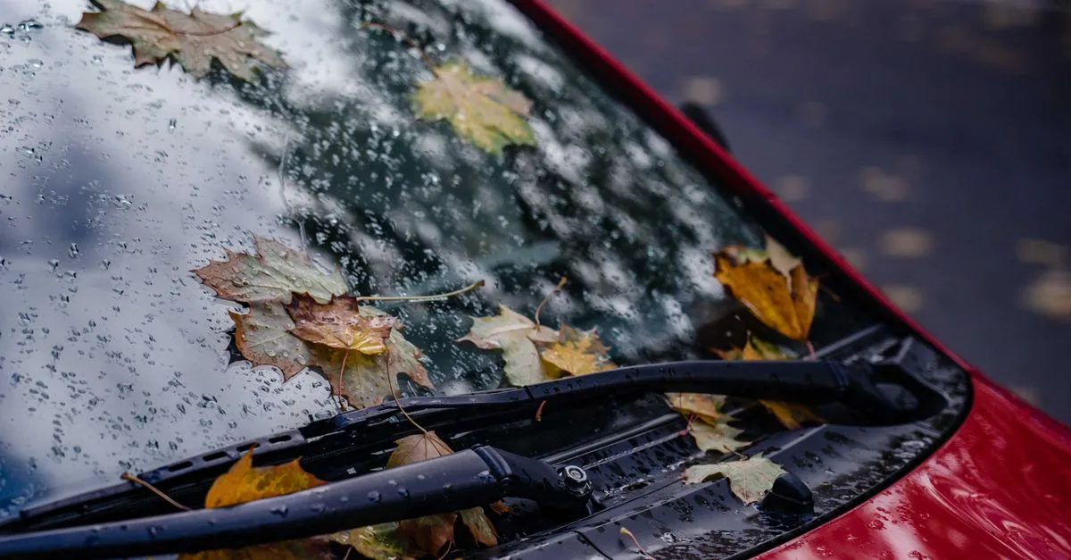 découvrez tout sur le fusible d'essuie-glace : fonctionnement, remplacement et conseils pour garder vos balais en parfait état.